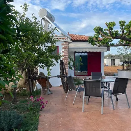 Country Lux Apartment Near Airport Markopoulo Mesogaias Exterior photo