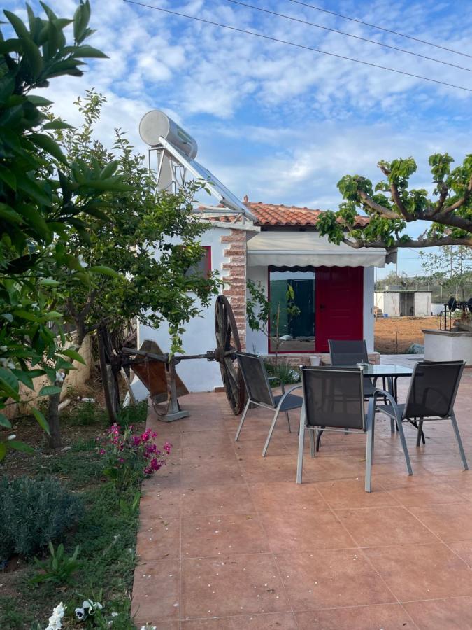 Country Lux Near Airport * Markopoulo Mesogaias
