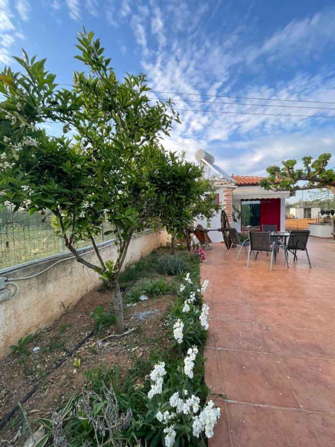 Country Lux Near Airport * Markopoulo Mesogaias